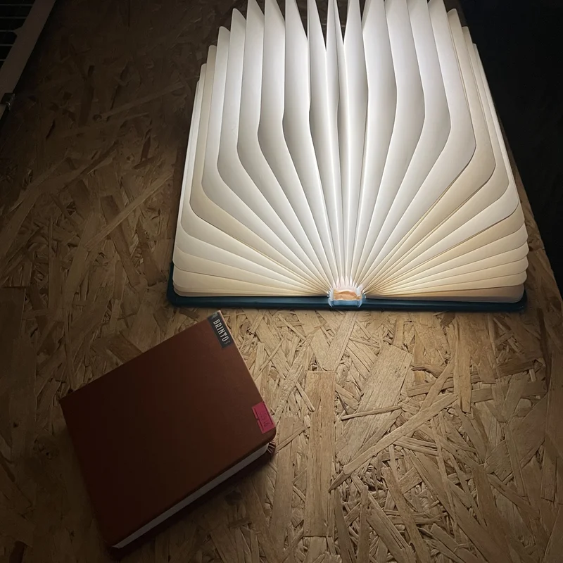 სანათი BOOK-B 1199-1 54 (05915)