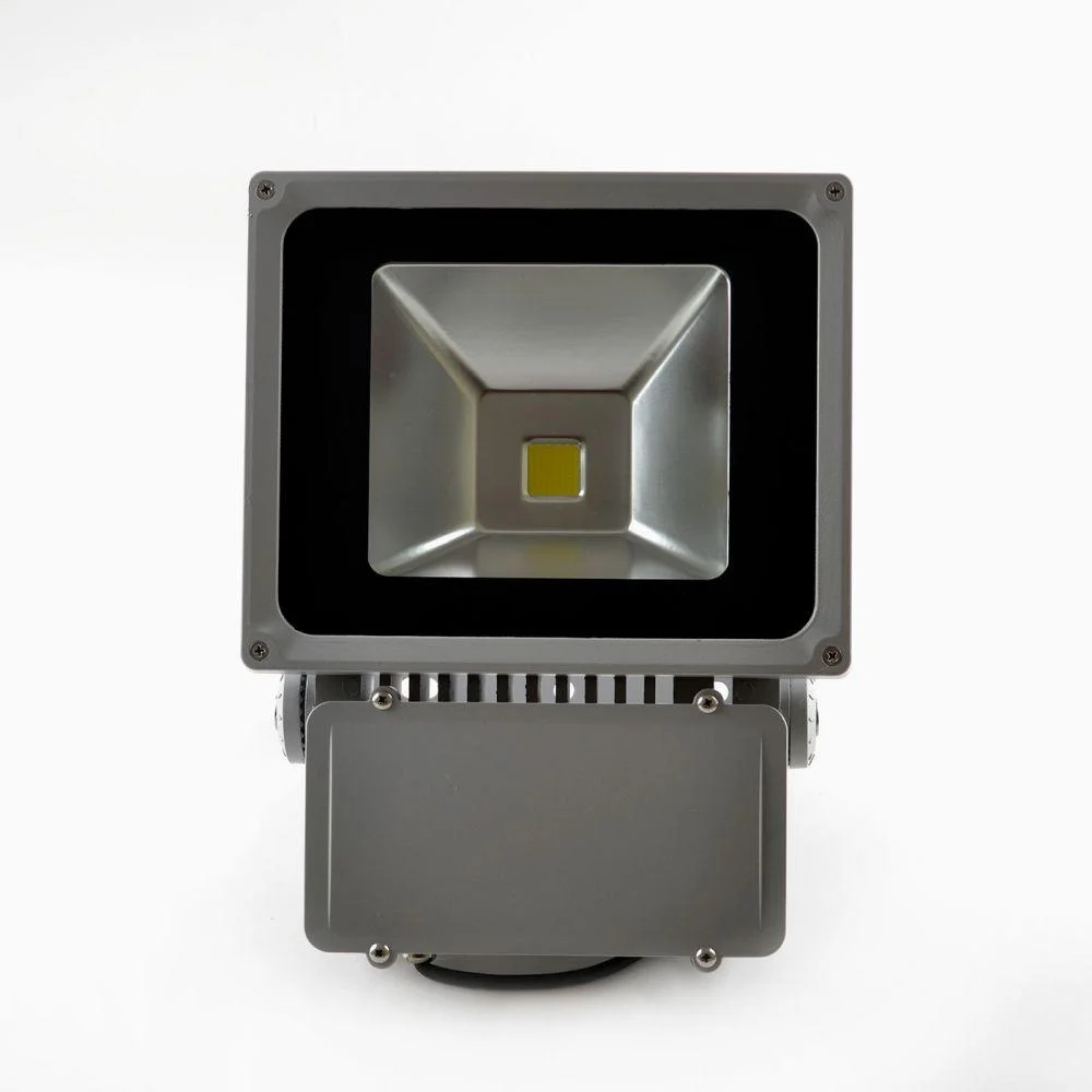 დიოდის პროჟექტორი LED 220V A 70W WW (0852)