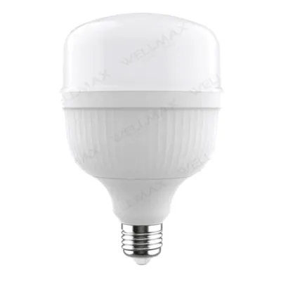 ლედ ნათურა Ecolite ballet T bulb T135 47W 6500K E27 